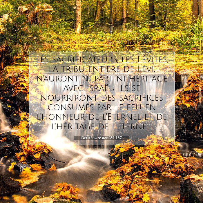 Deut ronome 18 1 Signification Du Verset Biblique Les Sacrificateurs 