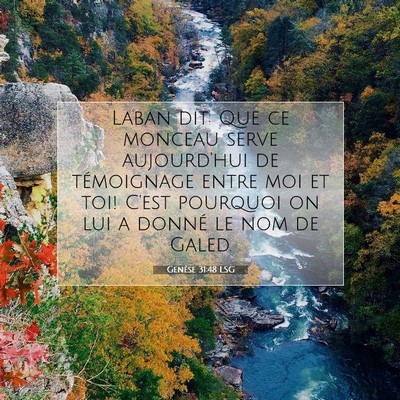 Genèse 31:48 LSG Image du verset biblique