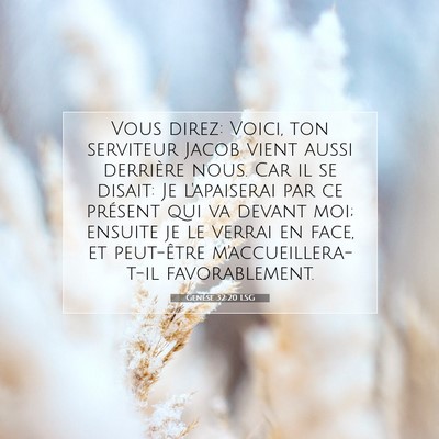 Genèse 32:20 LSG Image du verset biblique