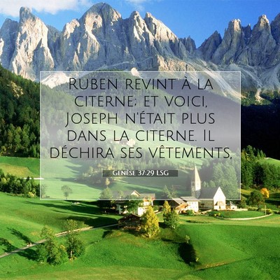 Genèse 37:29 LSG Image du verset biblique