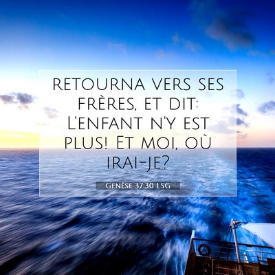 Genèse 37:30 LSG Image du verset biblique