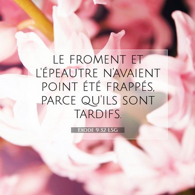 Exode 9:32 LSG Image du verset biblique