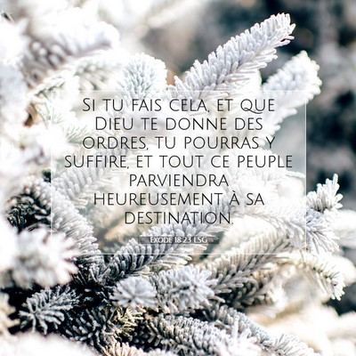 Exode 18:23 LSG Image du verset biblique