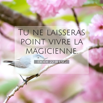 Exode 22:18 LSG Image du verset biblique