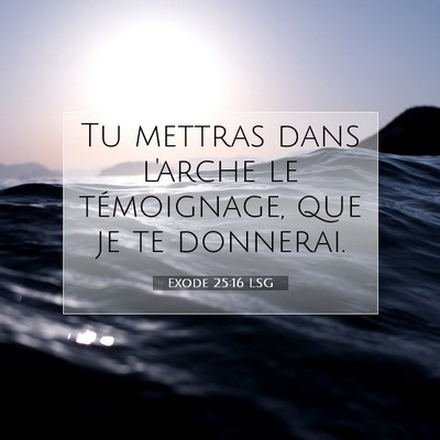 Exode 25:16 LSG Image du verset biblique