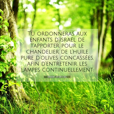 Exode 27:20 LSG Image du verset biblique