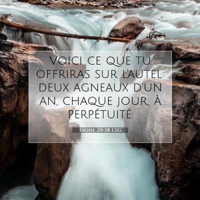 Exode 29:38 LSG Image du verset biblique