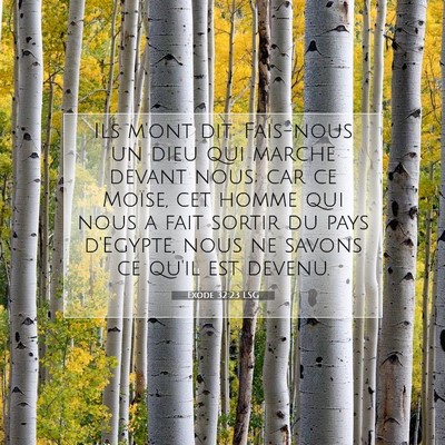 Exode 32:23 LSG Image du verset biblique