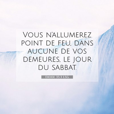 Exode 35:3 LSG Image du verset biblique