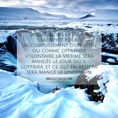 Lévitique 7:16 LSG Image du verset biblique