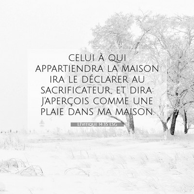 Lévitique 14:35 LSG Image du verset biblique