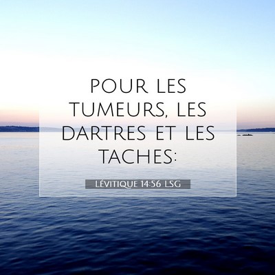 Lévitique 14:56 LSG Image du verset biblique
