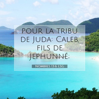 Nombres 13:6 LSG Image du verset biblique