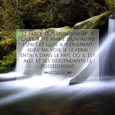 Nombres 14:24 LSG Image du verset biblique