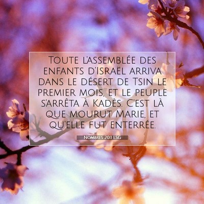 Nombres 20:1 LSG Image du verset biblique