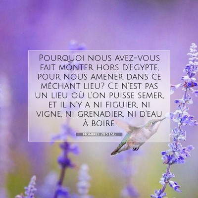 Nombres 20:5 LSG Image du verset biblique
