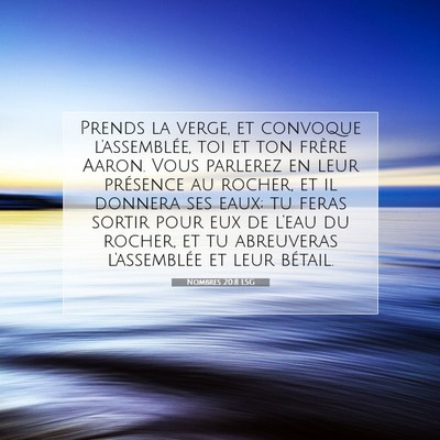 Nombres 20:8 LSG Image du verset biblique