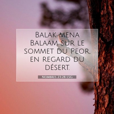Nombres 23:28 LSG Image du verset biblique