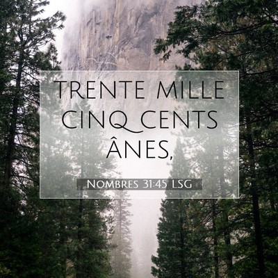 Nombres 31:45 Verset biblique expliqué