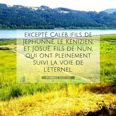 Nombres 32:12 LSG Image du verset biblique