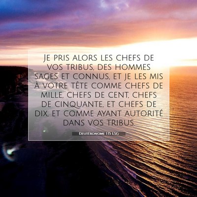 Deutéronome 1:15 LSG Image du verset biblique
