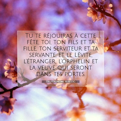 Deutéronome 16:14 LSG Image du verset biblique