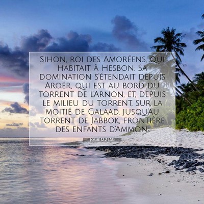 Josué 12:2 LSG Image du verset biblique