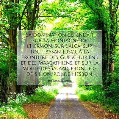 Josué 12:5 LSG Image du verset biblique