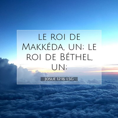 Josué 12:16 LSG Image du verset biblique