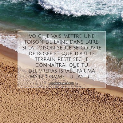Juges 6:37 LSG Image du verset biblique