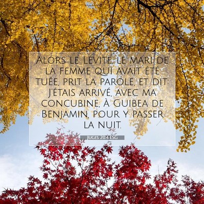 Juges 20:4 LSG Image du verset biblique
