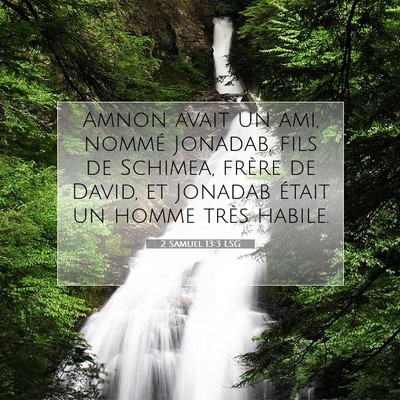 2 Samuel 13:3 LSG Image du verset biblique