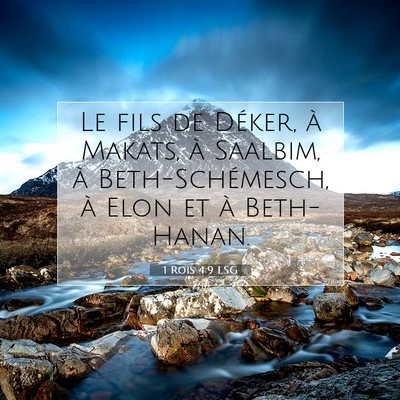 1 Rois 4:9 LSG Image du verset biblique