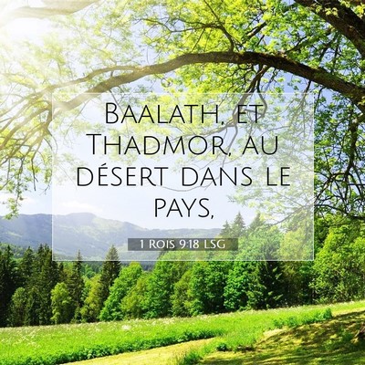 1 Rois 9:18 LSG Image du verset biblique