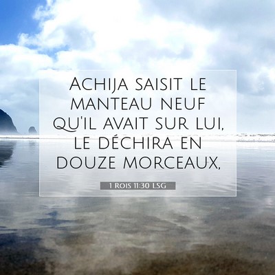 1 Rois 11:30 LSG Image du verset biblique