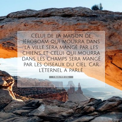 1 Rois 14:11 LSG Image du verset biblique