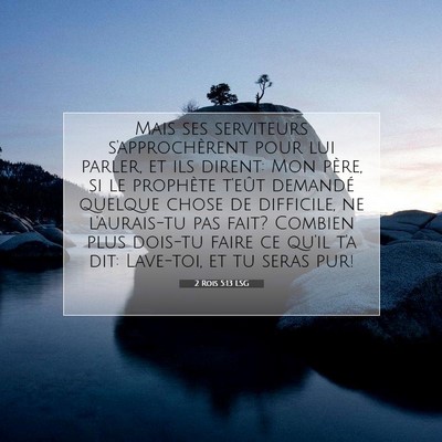 2 Rois 5:13 LSG Image du verset biblique