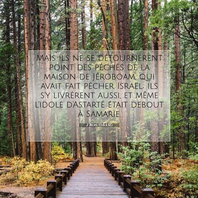 2 Rois 13:6 LSG Image du verset biblique
