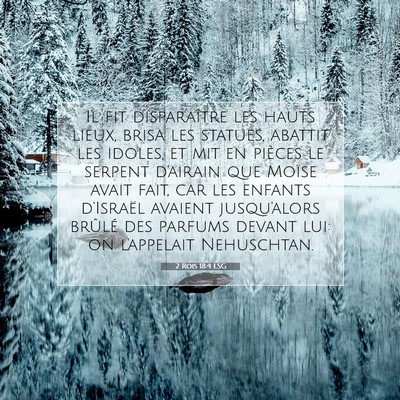 2 Rois 18:4 LSG Image du verset biblique