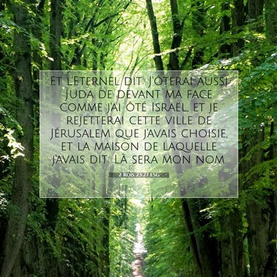 2 Rois 23:27 LSG Image du verset biblique