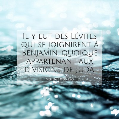 Néhémie 11:36 Verset biblique expliqué
