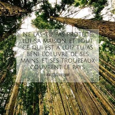 Job 1:10 Verset biblique expliqué