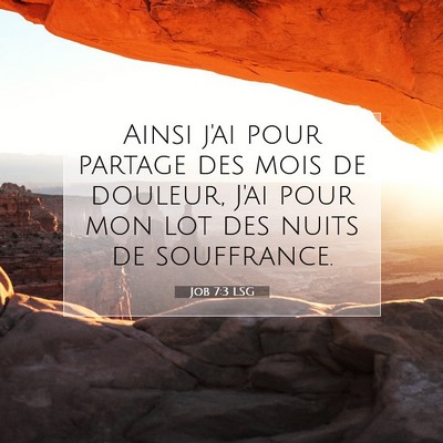 Job 7:3 LSG Image du verset biblique