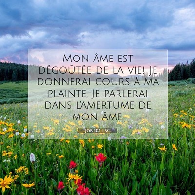 Job 10:1 LSG Image du verset biblique