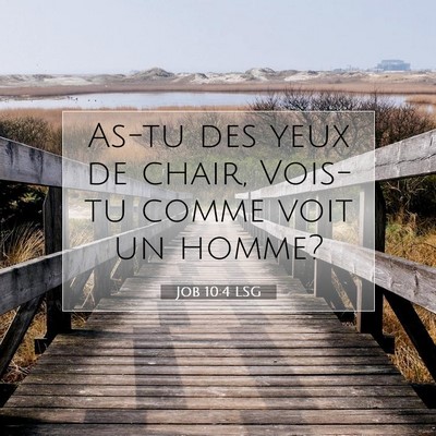 Job 10:4 LSG Image du verset biblique