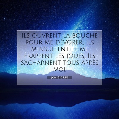 Job 16:10 LSG Image du verset biblique