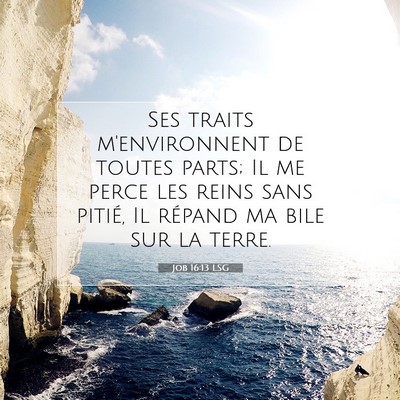 Job 16:13 LSG Image du verset biblique