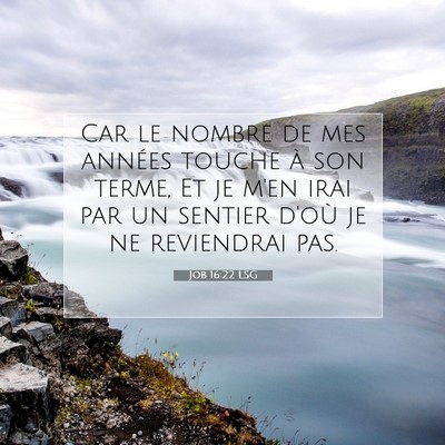 Job 16:22 LSG Image du verset biblique