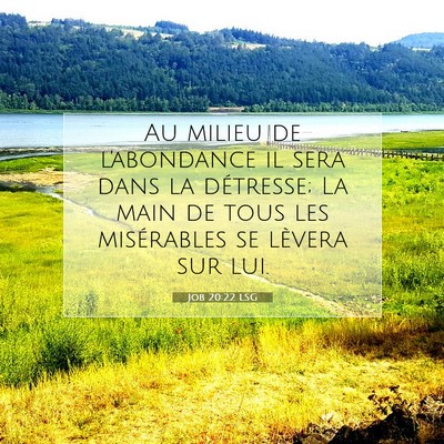 Job 20:22 LSG Image du verset biblique
