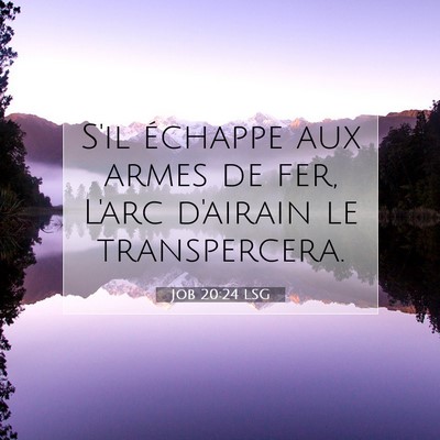 Job 20:24 LSG Image du verset biblique